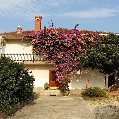 Apartman Dukic Apartman Trogir Kültér fotó